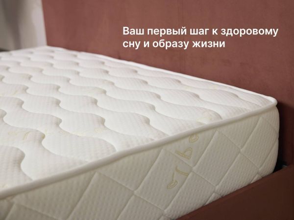 Матрас Dimax Микро Медиум Софт (Микро&nbsp;Медиум&nbsp;Софт)